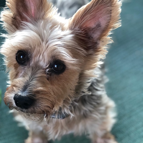 Meet your Posher, Christine - Picture 6 of 7